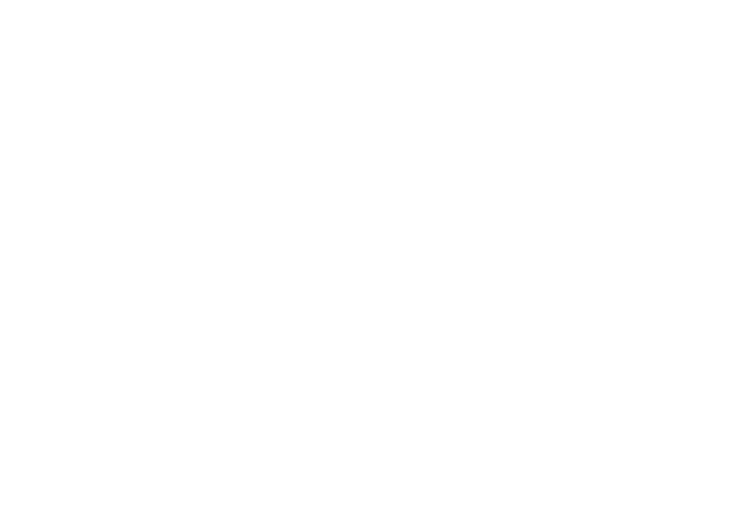 The Outlaw Group Logo